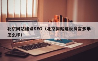 丽水北京网站建设SEO（北京网站建设良言多米怎么样）